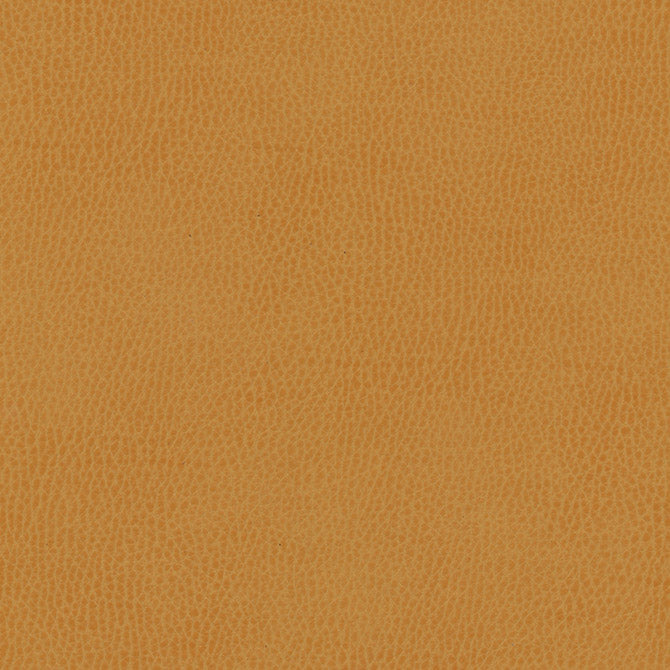 Purchase Maxwell Fabric - Top Grain-Nj, # 858 Squash