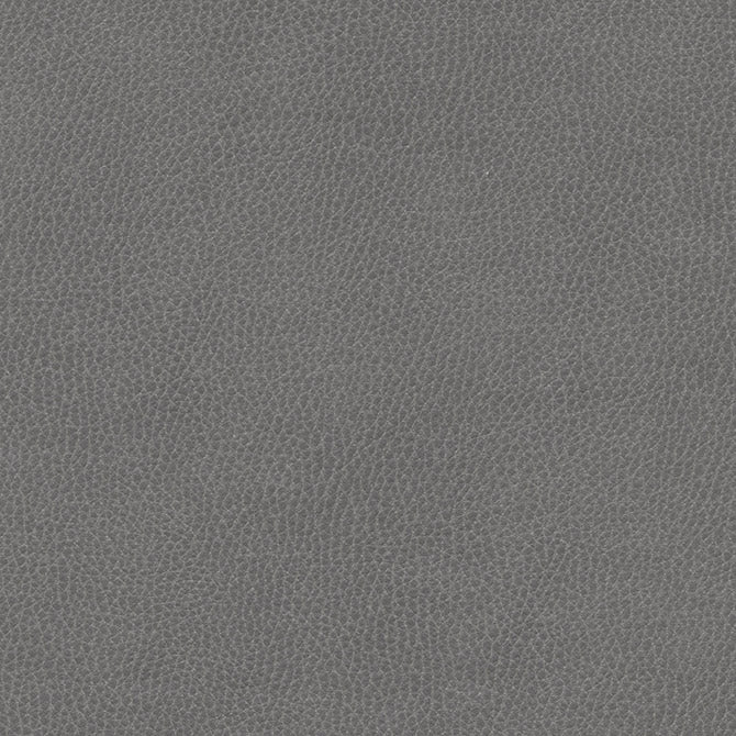 Purchase Maxwell Fabric - Top Grain-Nj, # 862 Midnight