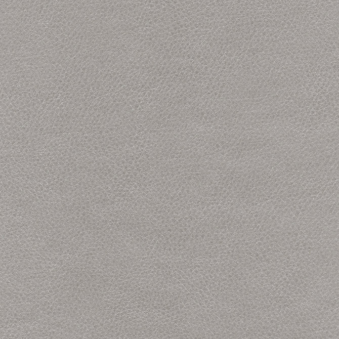 Purchase Maxwell Fabric - Top Grain-Nj, # 869 Barb