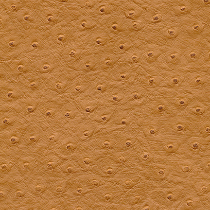 Purchase Maxwell Fabric - Twitter-Nj, # 295 Autumn