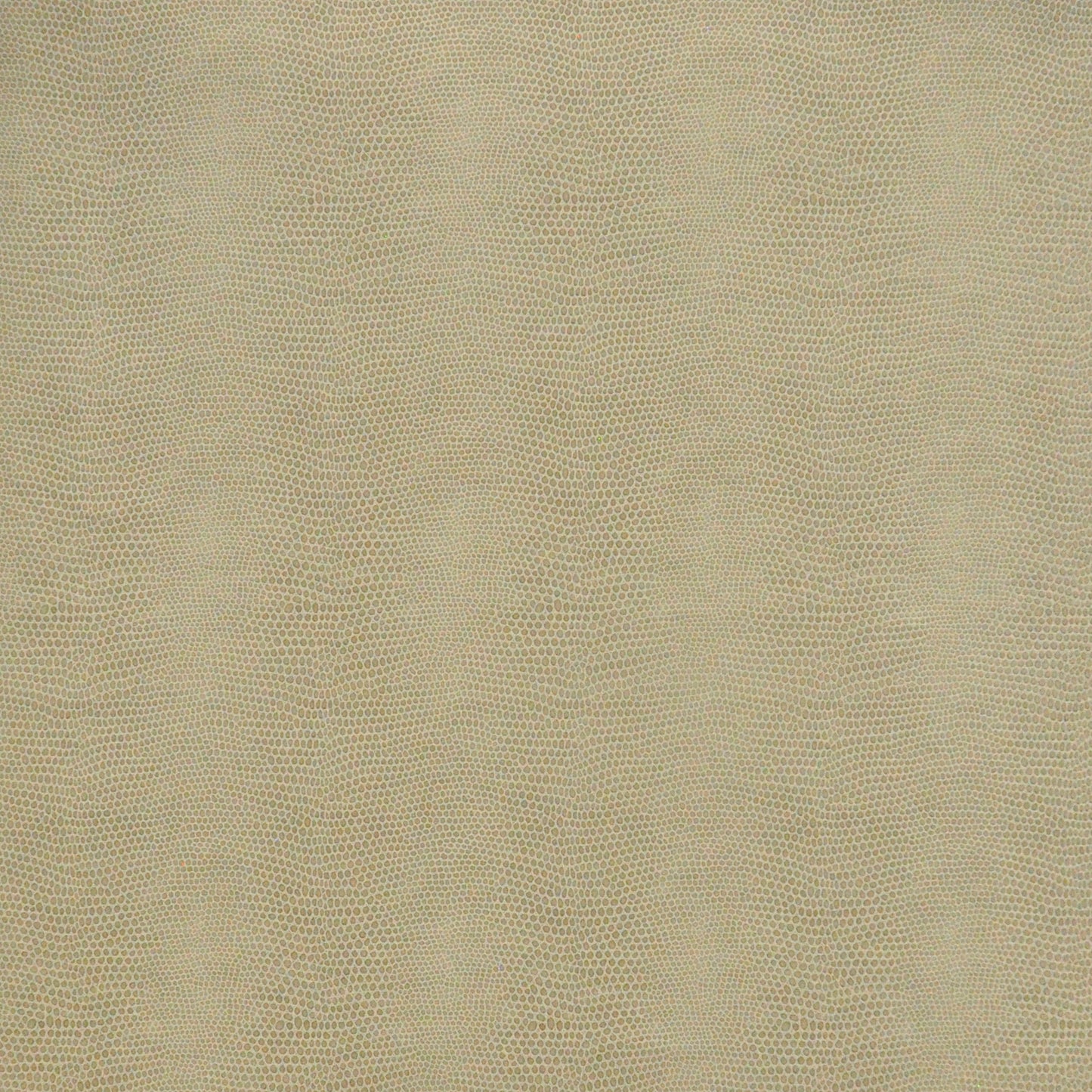 Purchase Maxwell Fabric - Taipan, # 736 Pigeon