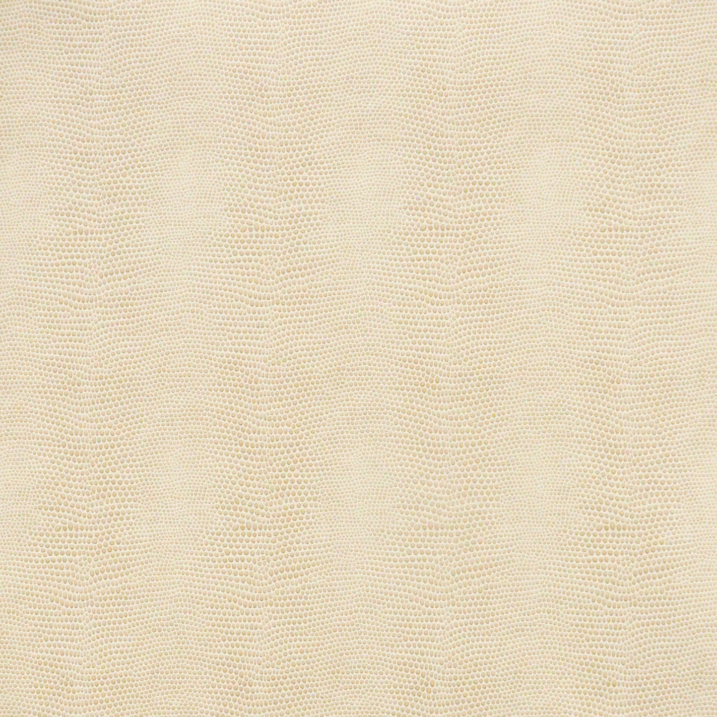 Purchase Maxwell Fabric - Taipan, # 760 Marzipan