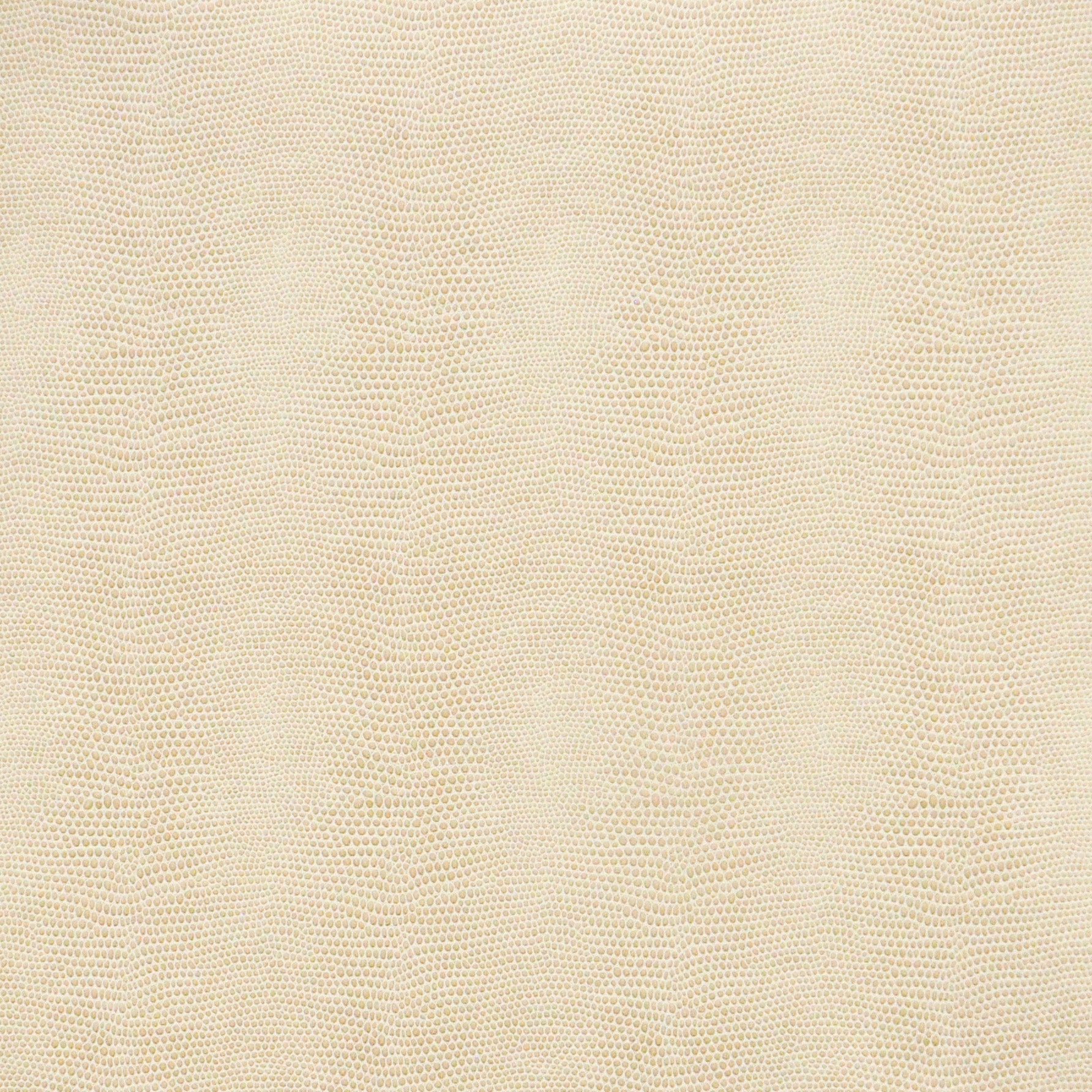 Purchase Maxwell Fabric - Taipan, # 760 Marzipan