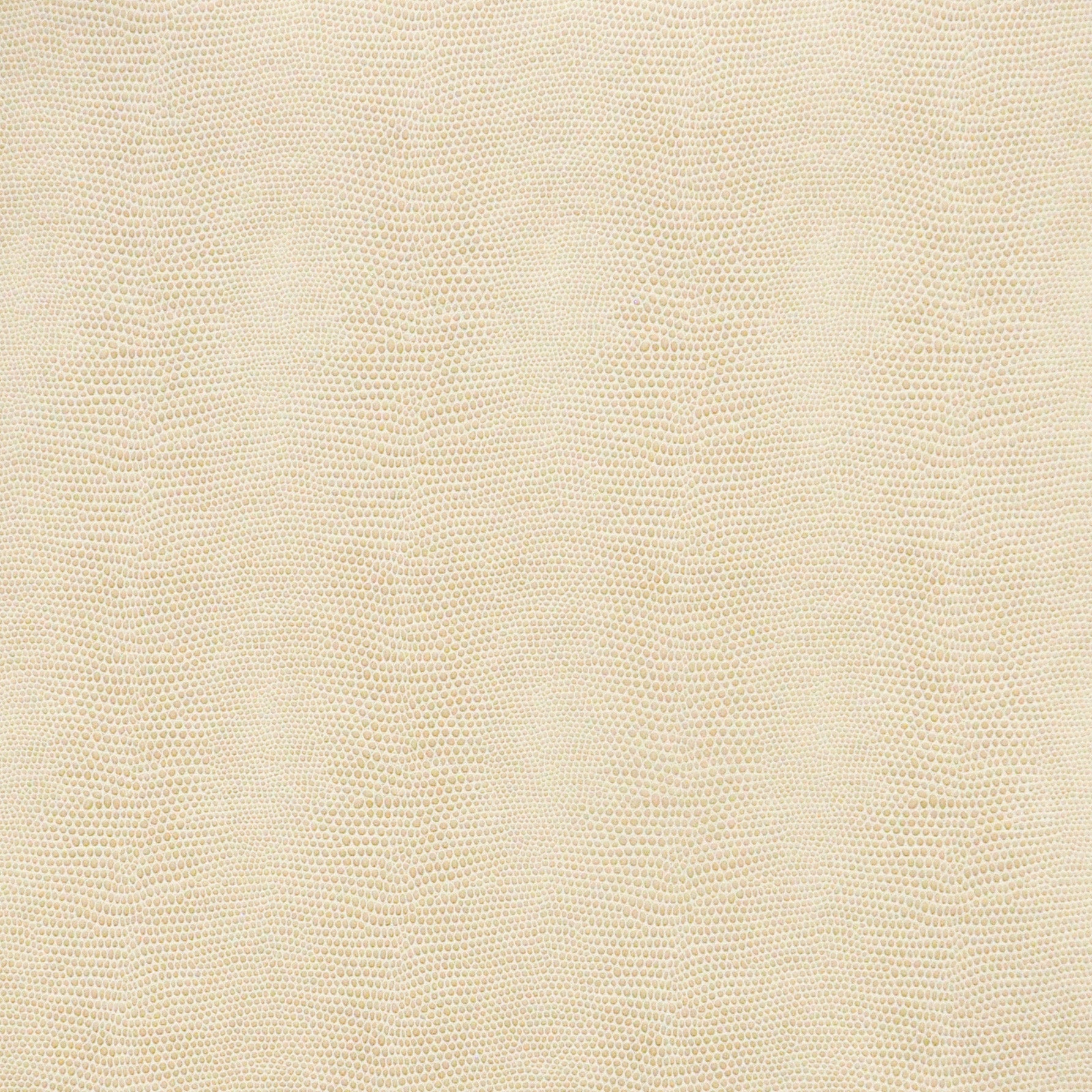 Purchase Maxwell Fabric - Taipan, # 760 Marzipan