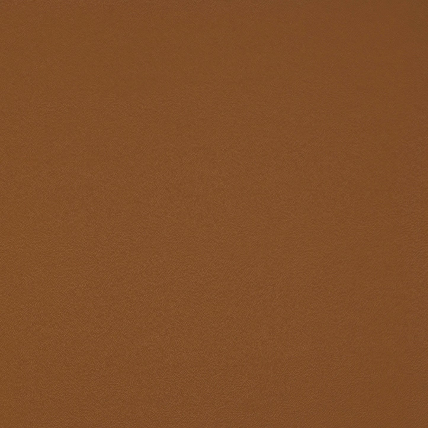 Purchase Maxwell Fabric - Trailrider, # 106 Butternut