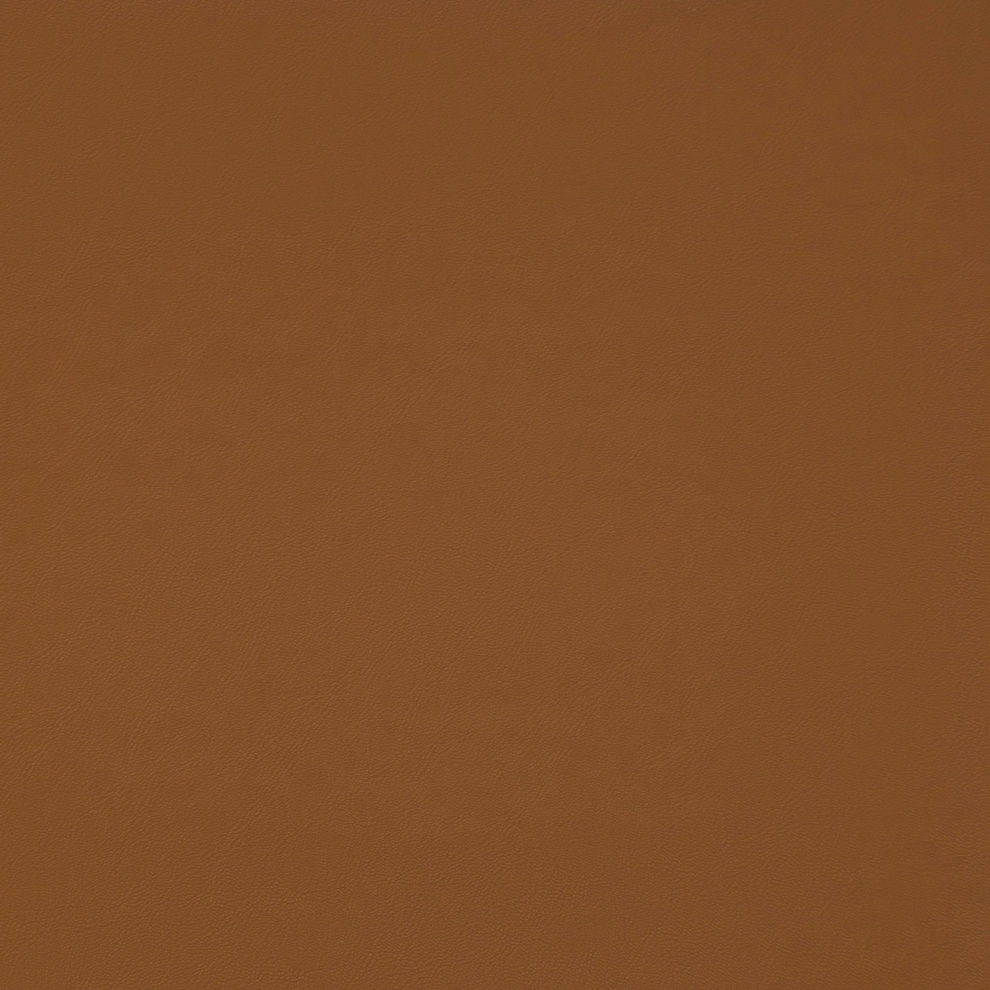 Purchase Maxwell Fabric - Trailrider, # 106 Butternut