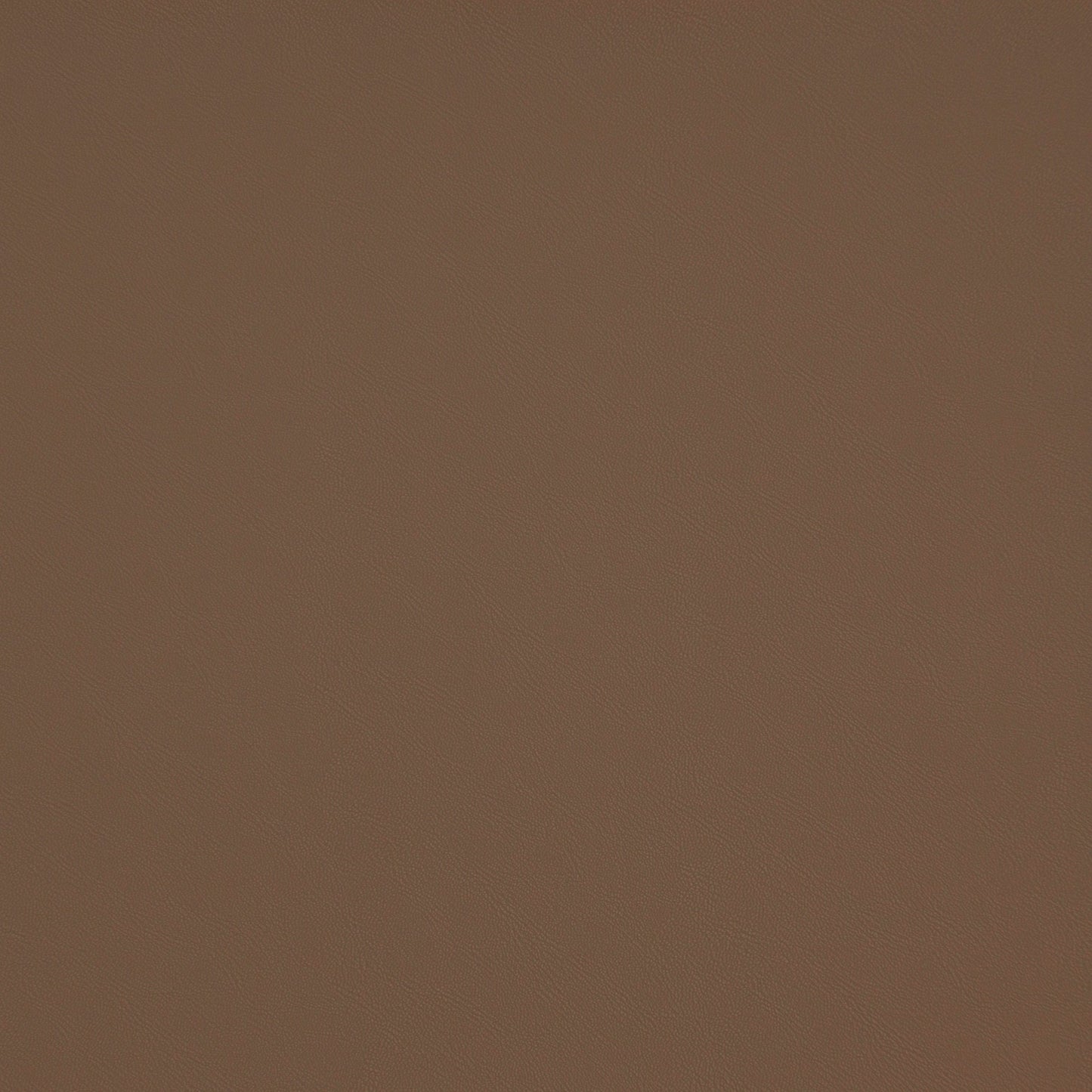 Purchase Maxwell Fabric - Trailrider, # 107 Tan