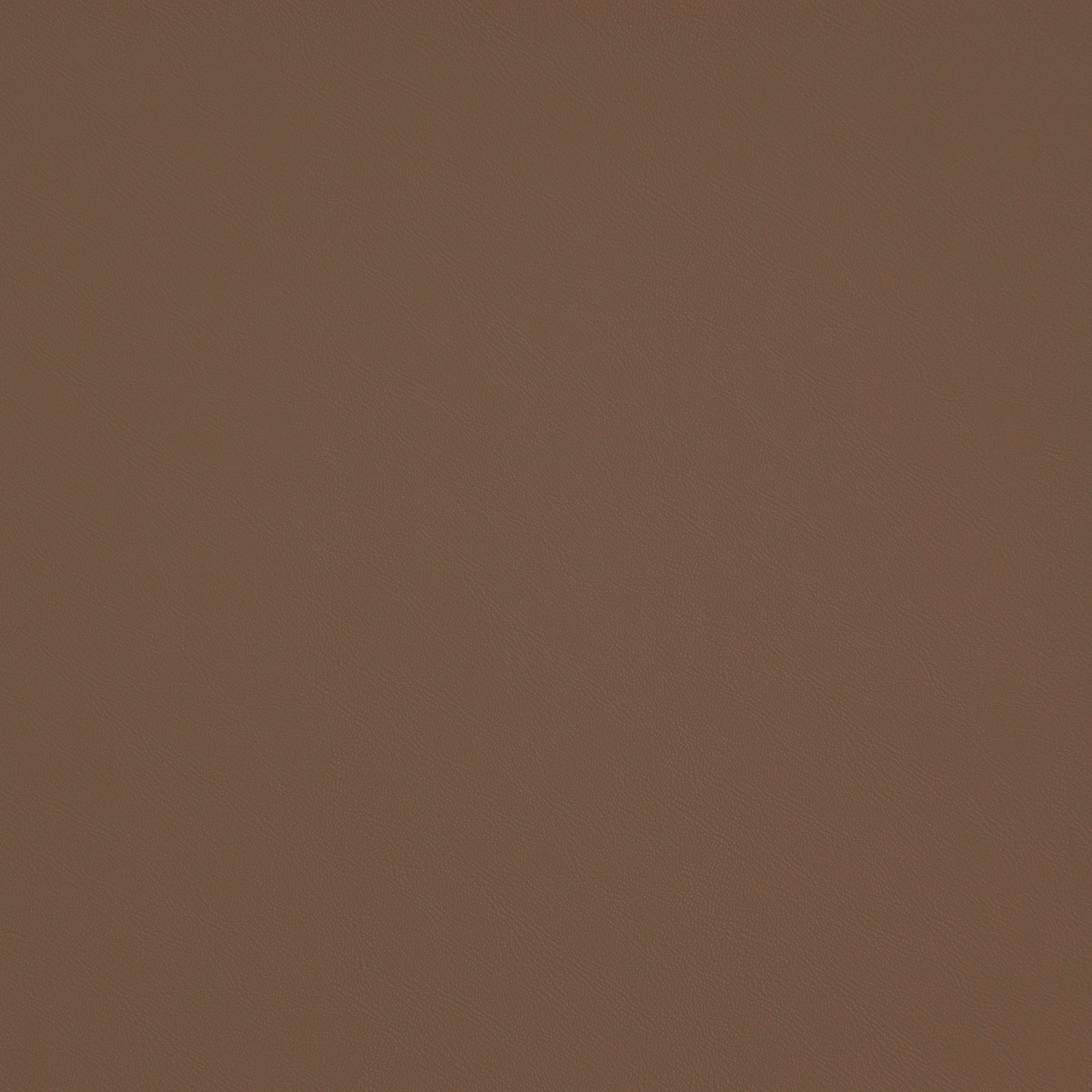 Purchase Maxwell Fabric - Trailrider, # 107 Tan