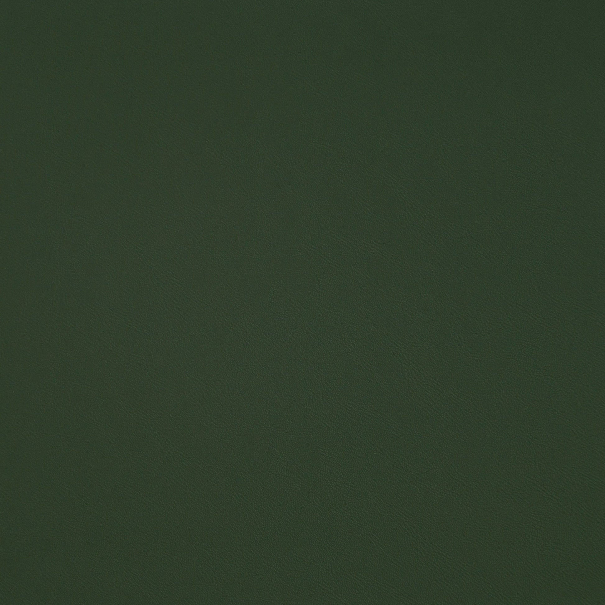 Purchase Maxwell Fabric - Trailrider, # 109 Grass
