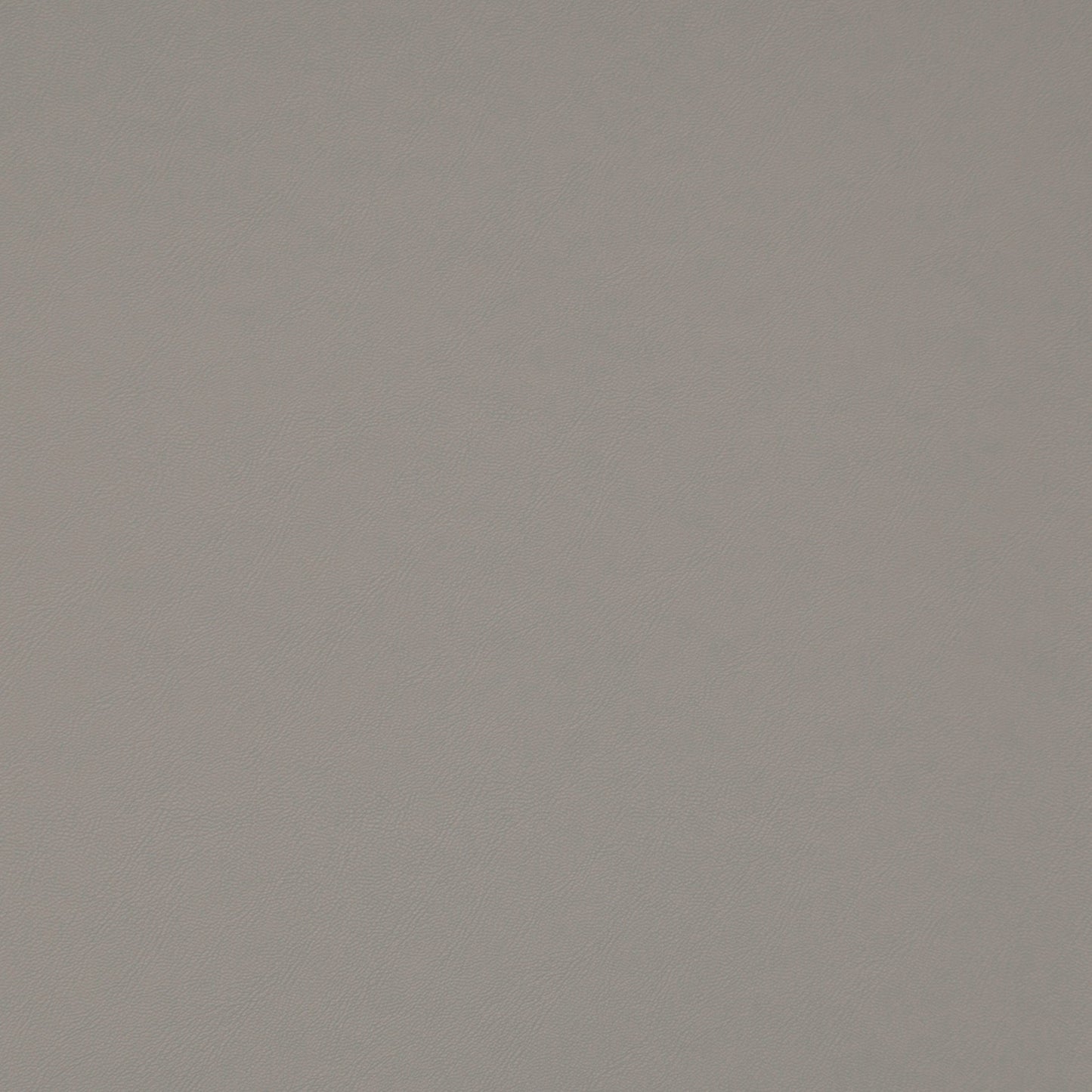 Purchase Maxwell Fabric - Trailrider, # 115 Pebble