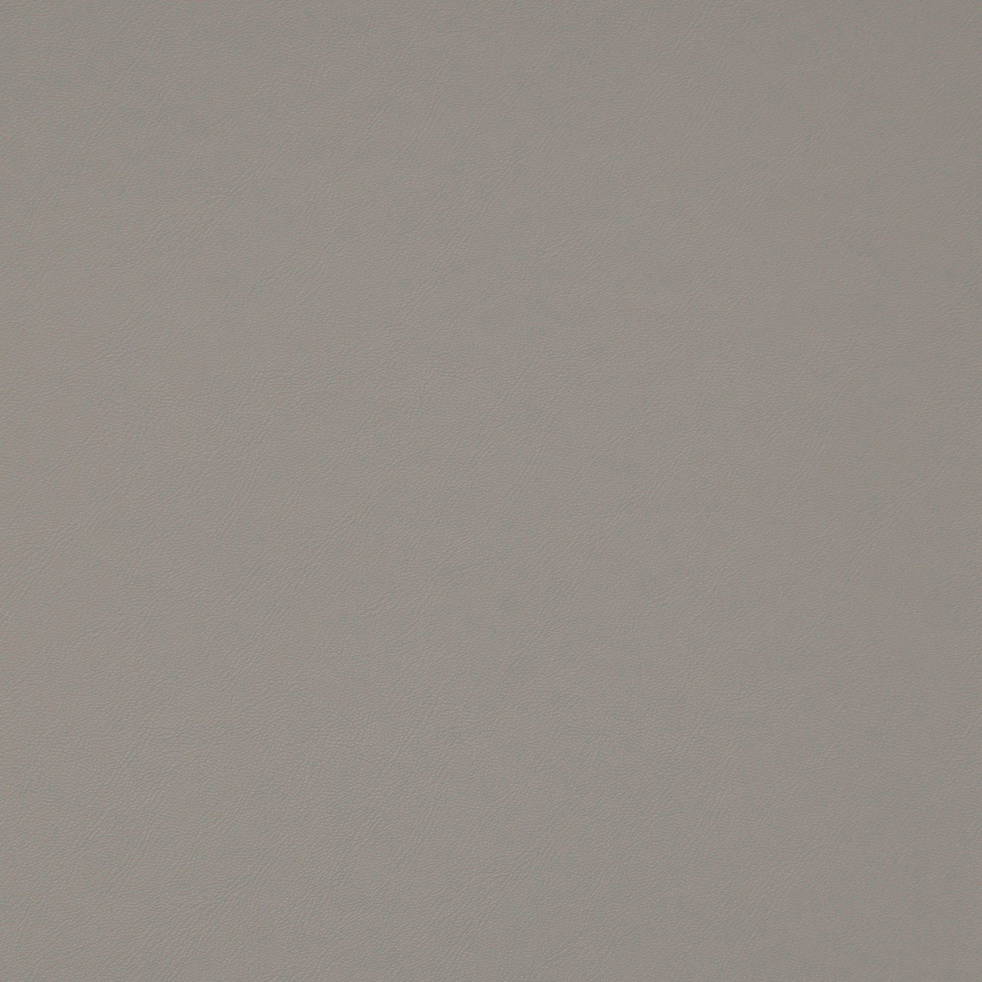Purchase Maxwell Fabric - Trailrider, # 115 Pebble