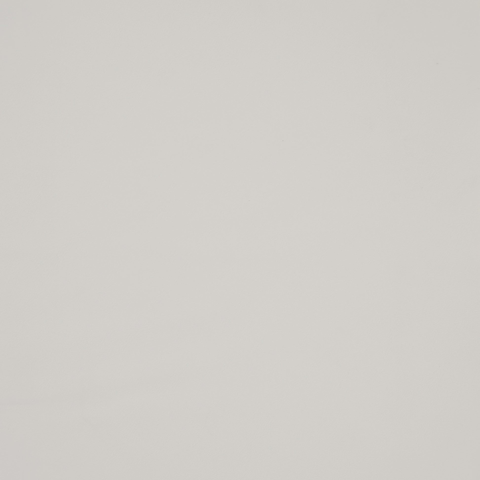 Purchase Maxwell Fabric - Trailrider, # 117 White