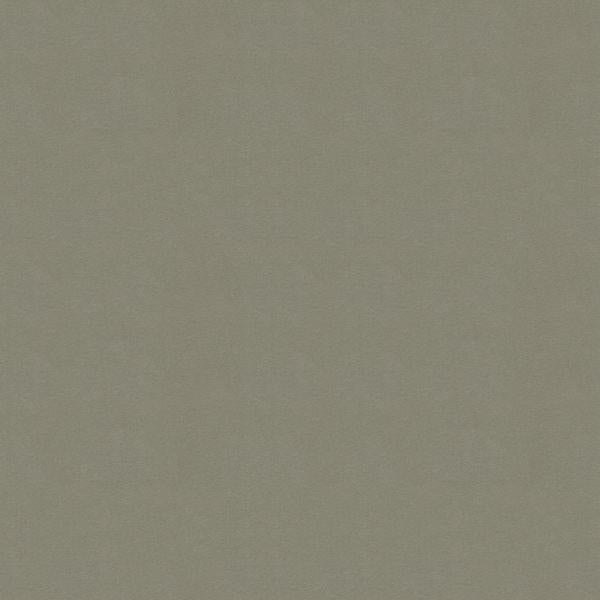 Sample ULTRASUEDE.1130 LEAD.0 Lead by Kravet Design