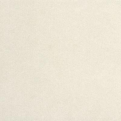 Sample ULTRASUEDE.611 ABALONE.0 Abalone by Kravet Design