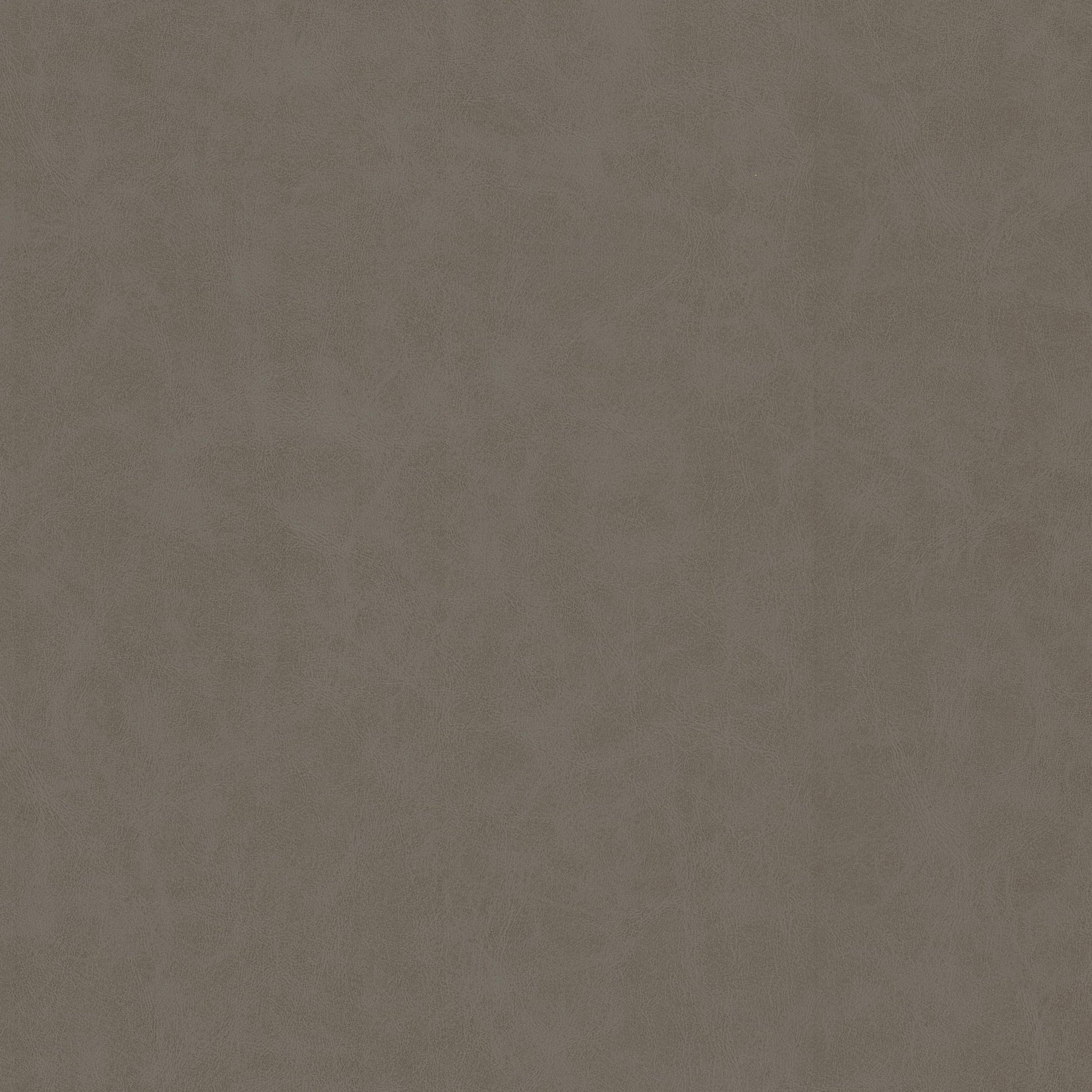 Purchase Stout Fabric Item# Unveil 4 Stone