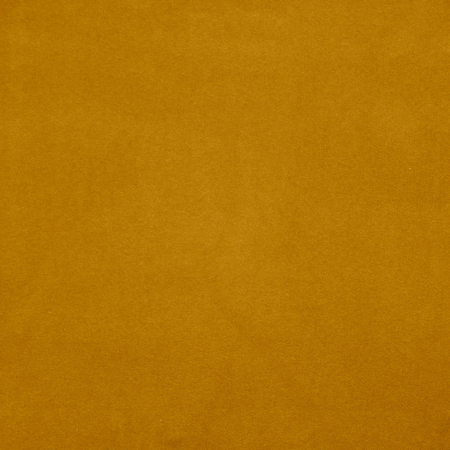 Purchase Maxwell Fabric - Vera, # 731 Oro