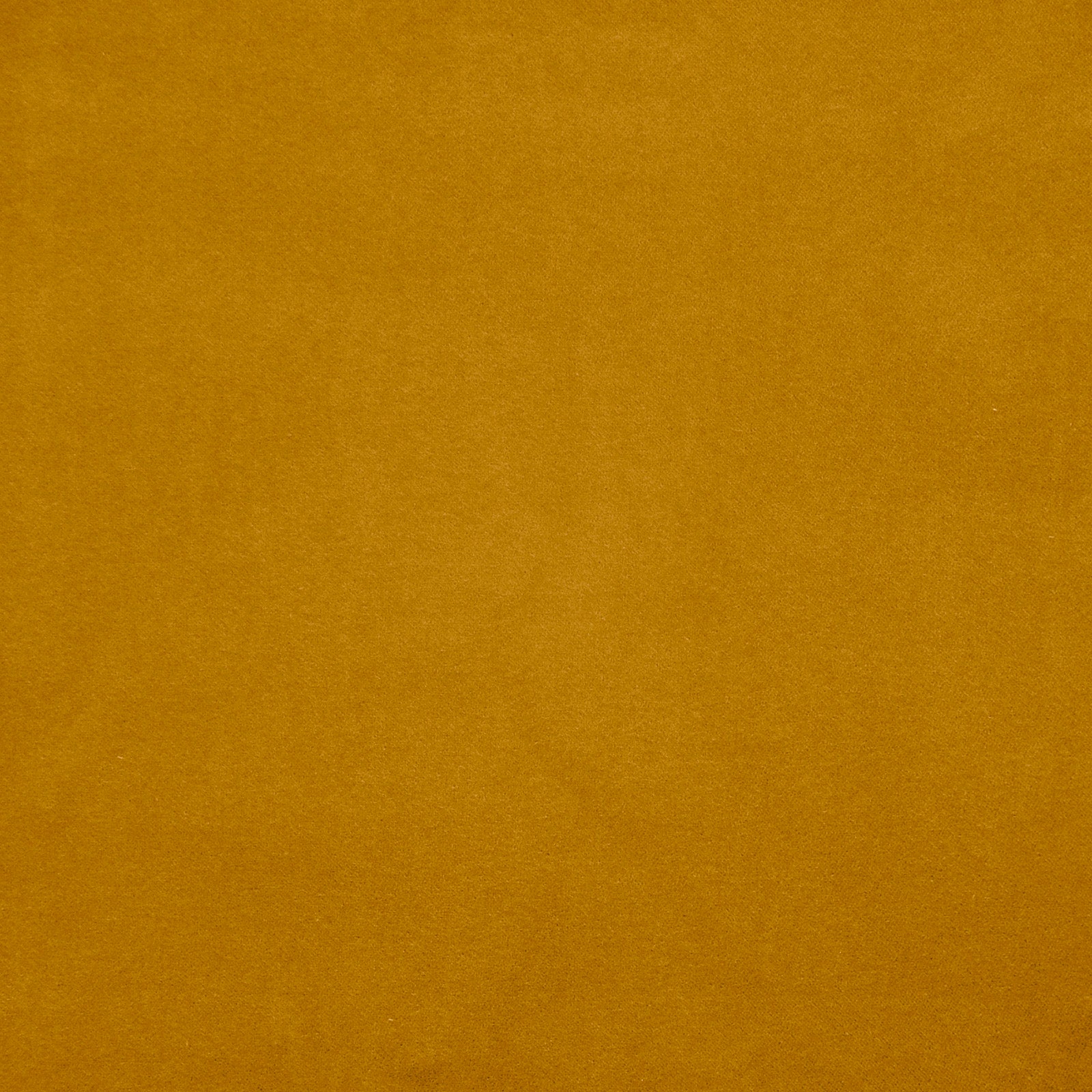Purchase Maxwell Fabric - Vera, # 731 Oro