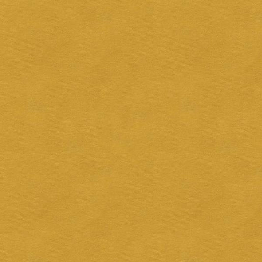 Purchase VERSAILLES-E21100 Kravet Design Upholstery Fabric
