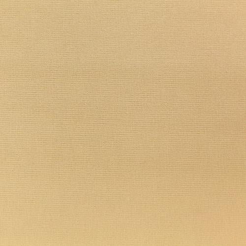 Sample VERSAILLES.E24204.0 Beige Upholstery Solids Plain Cloth Fabric by Kravet Design