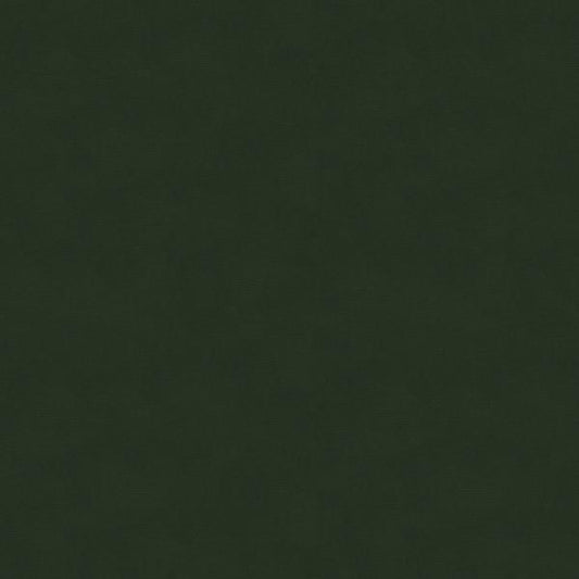 Looking VERSAILLES-E26381 Kravet Design Upholstery Fabric