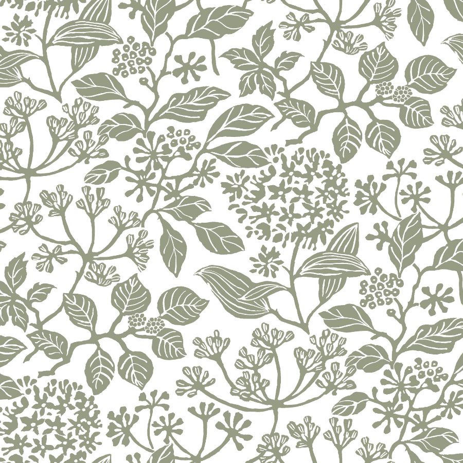 Purchase Vp1343 | Jardin, Rowen Olive Botanical - Antonina Vella Wallpaper