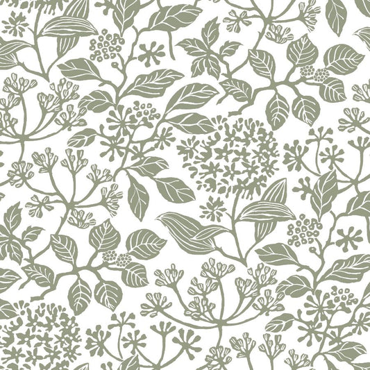 Purchase Vp1343 | Jardin, Rowen Olive Botanical - Antonina Vella Wallpaper