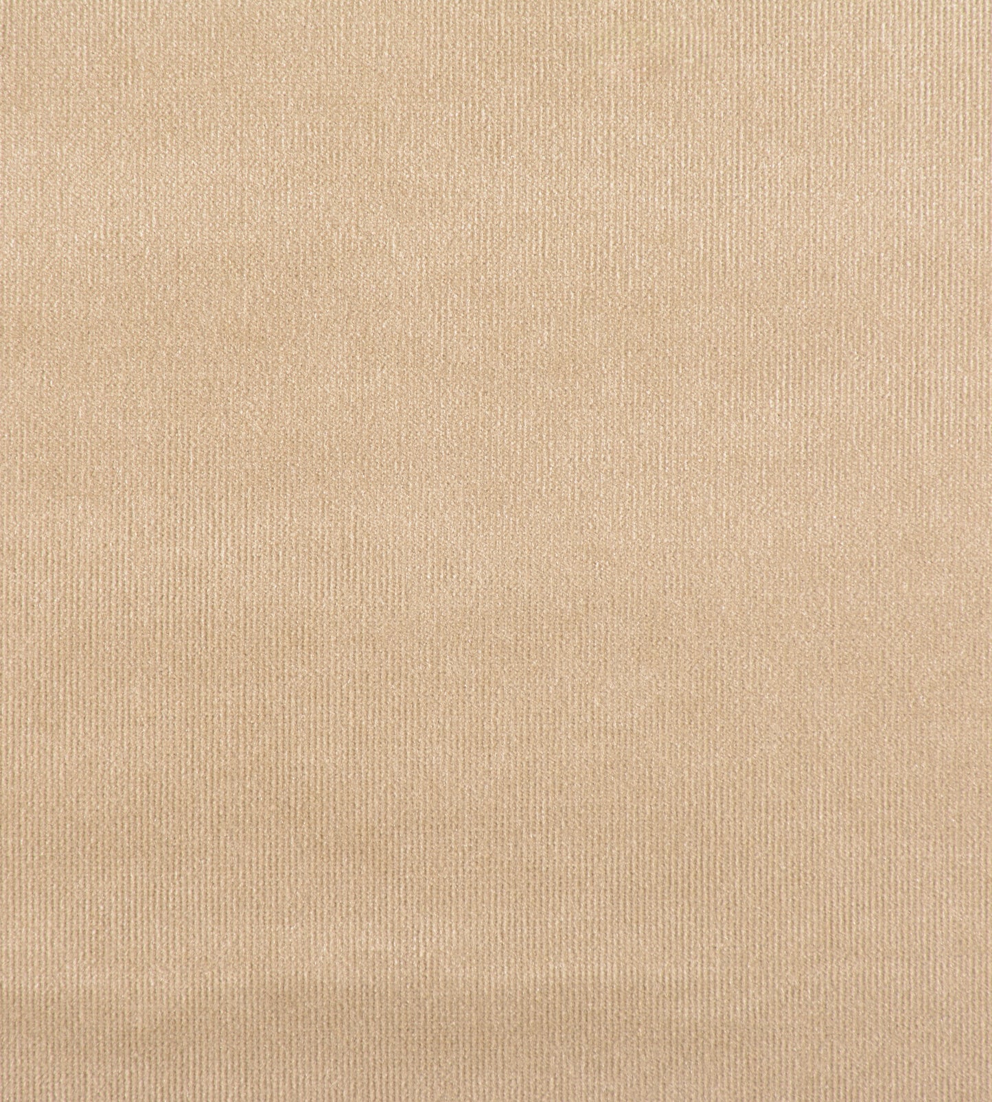 Purchase Old World Weavers Fabric Product# VP 0762GLAM, Glamour Velvet Brush 1