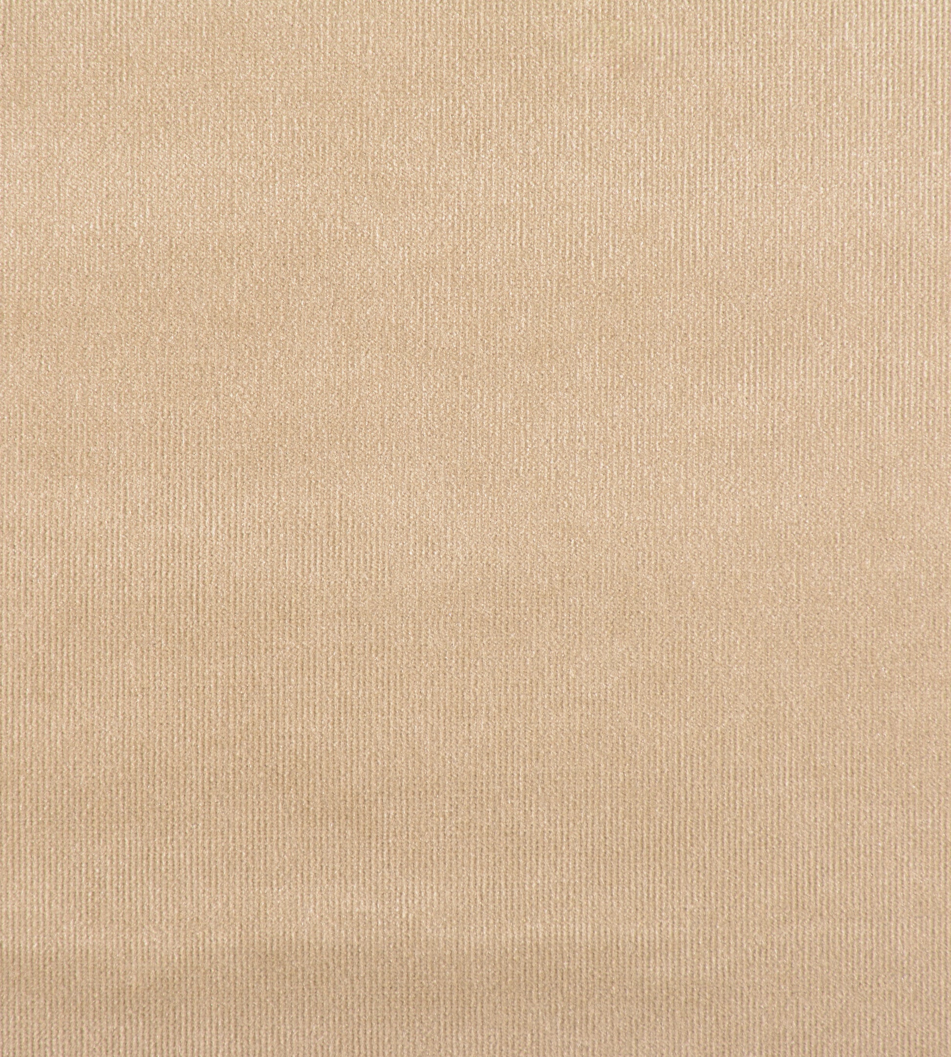 Purchase Old World Weavers Fabric Product# VP 0762GLAM, Glamour Velvet Brush 1