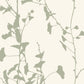 Purchase Vr1510 | Caviar, Ginkgo Silhouette - Ronald Redding Wallpaper
