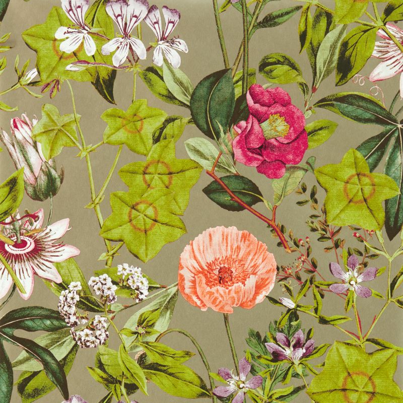 Purchase W0143/03.Cac.0 Passiflora, Multi Color Botanical - Clarke And Clarke Wallpaper