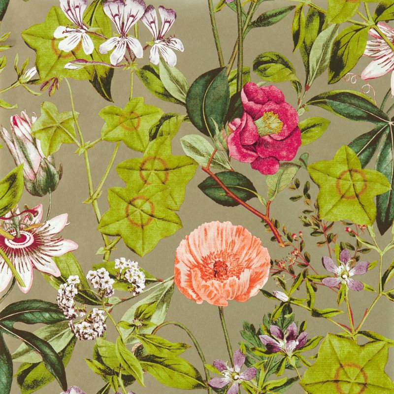 Sample - W0143/03.Cac.0 | Passiflora, Multi Color Botanical - Clarke And Clarke Wallpaper