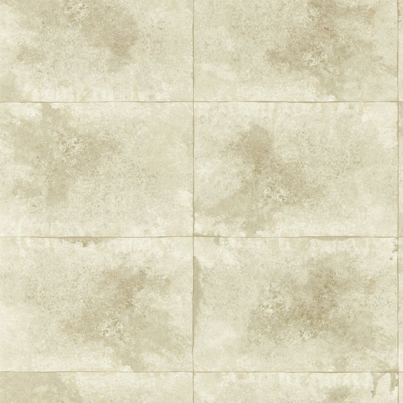Purchase W0151/02.Cac.0 Igneous, Beige Distressed Textures - Clarke And Clarke Wallpaper