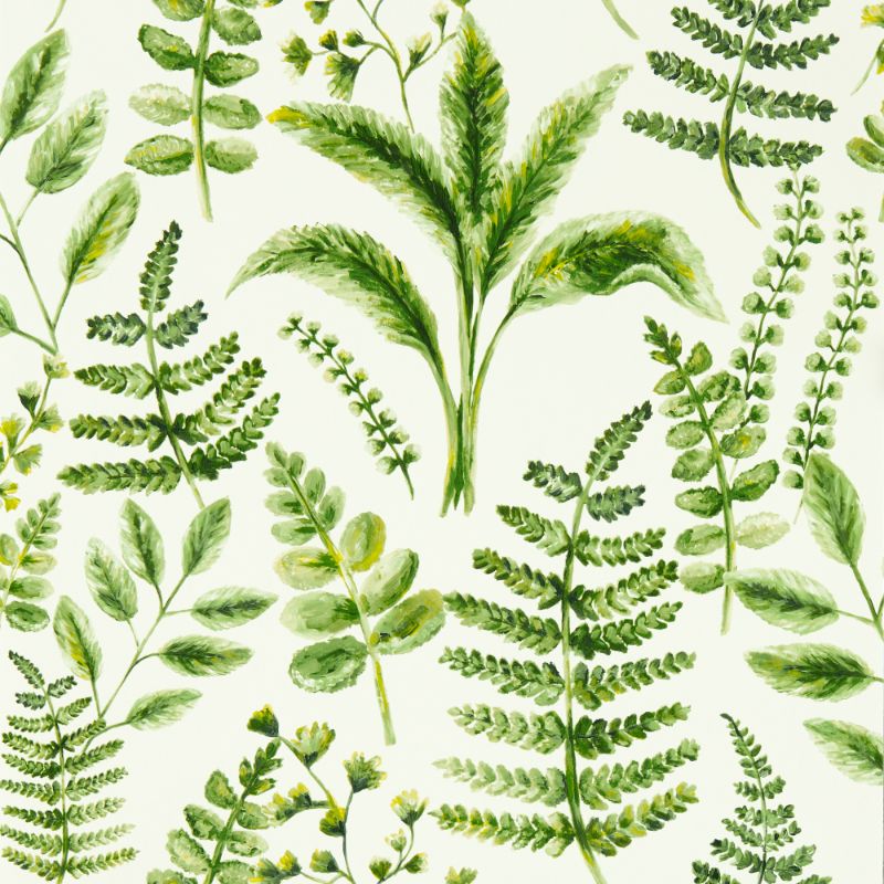 Purchase W0156/02.Cac.0 Bracken, Green Botanical - Clarke And Clarke Wallpaper