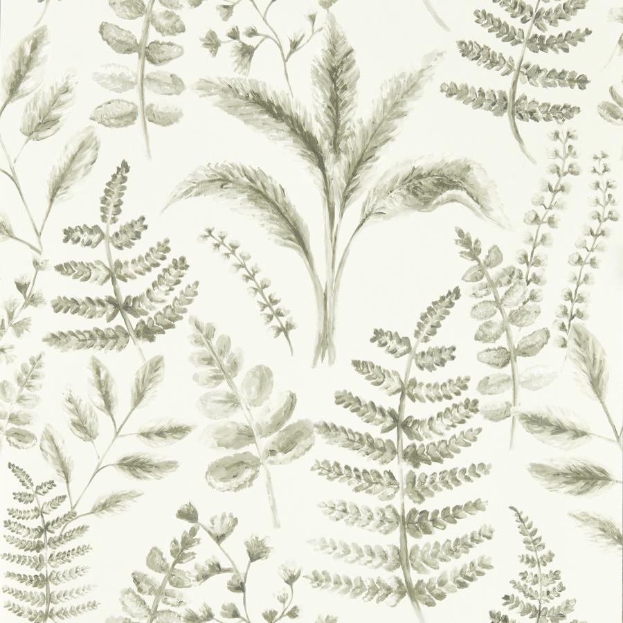Purchase W0156/03 Bracken, Grey Botanical - Clarke And Clarke Wallpaper