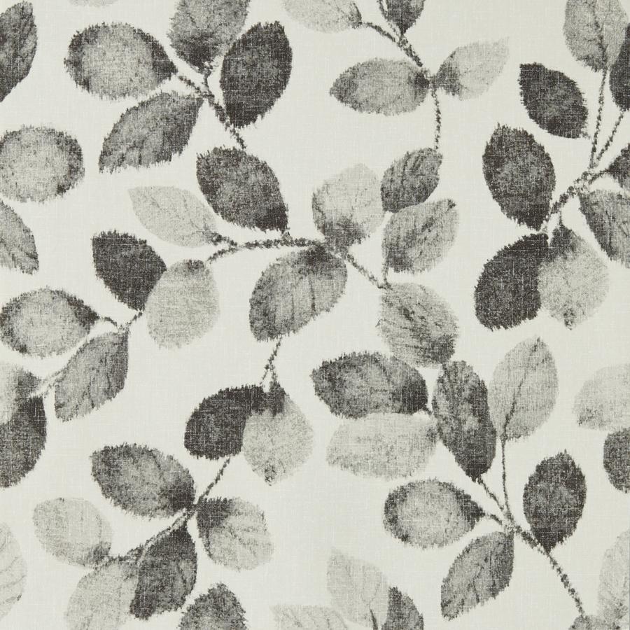 Purchase W0159/01 Northia, Grey Botanical - Clarke And Clarke Wallpaper