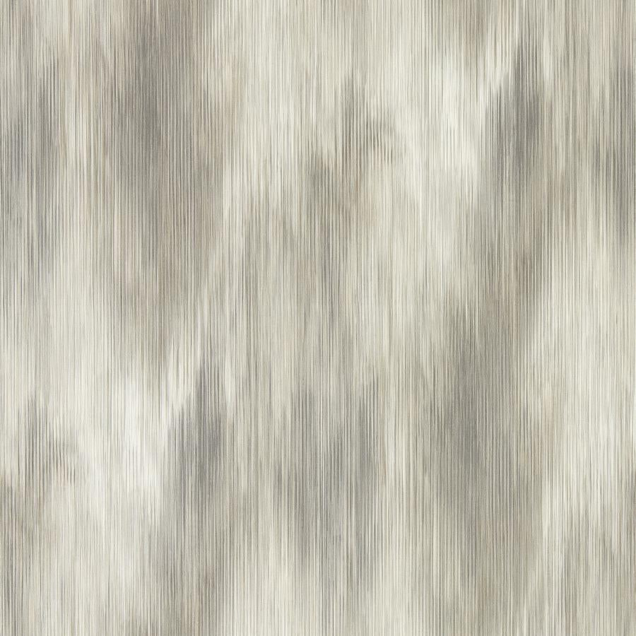 Purchase W0191/02 Serengeti, Grey Ombre - Clarke And Clarke Wallpaper