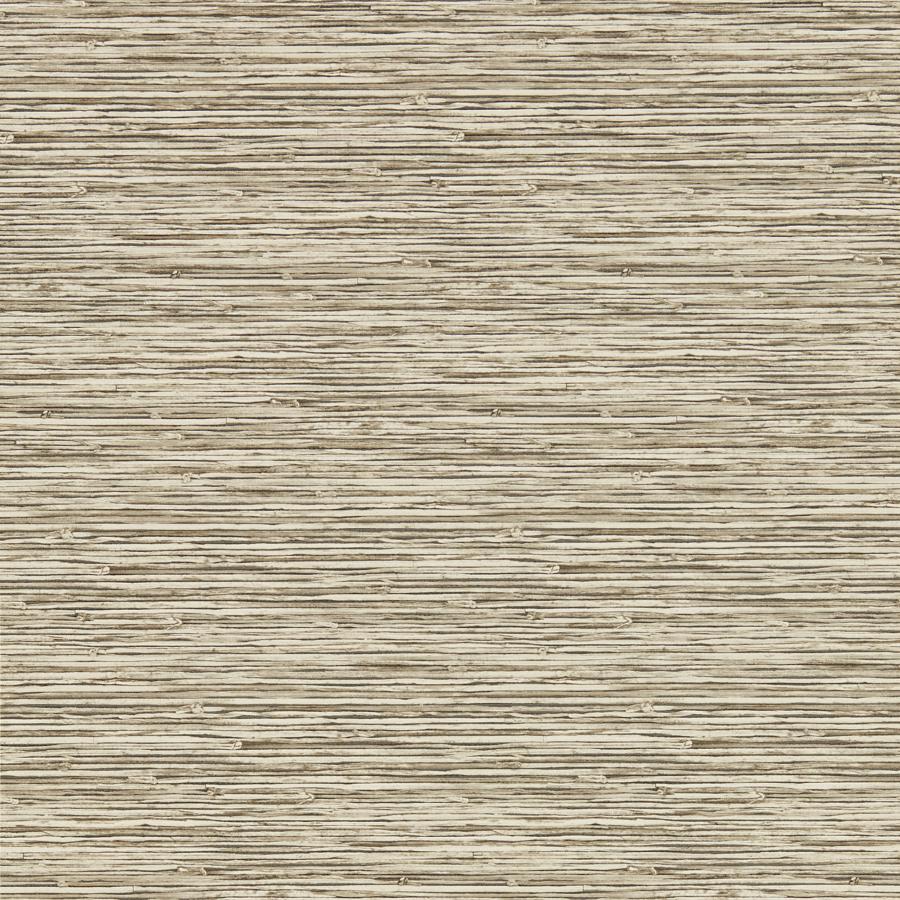 Purchase W0192/03-Cac Xan, Beige Stripes - Clarke And Clarke Wallpaper - W0192/03.Cac.0