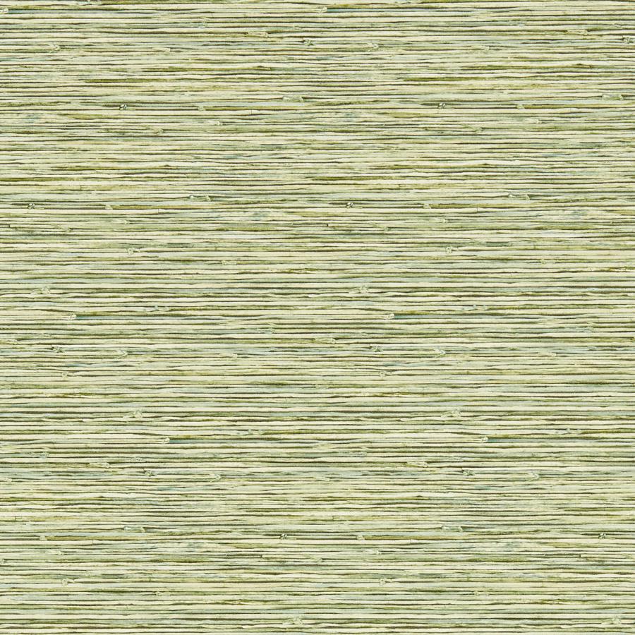 Purchase W0192/04-Cac Xan, Green Stripes - Clarke And Clarke Wallpaper - W0192/04.Cac.0