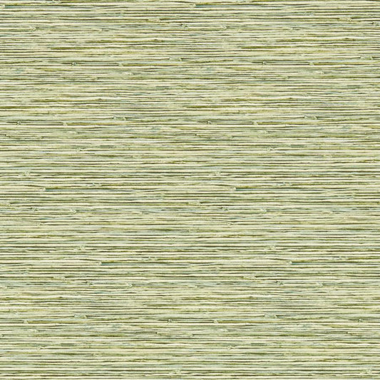 Purchase W0192/04 Xan, Green Organic Textures - Clarke And Clarke Wallpaper