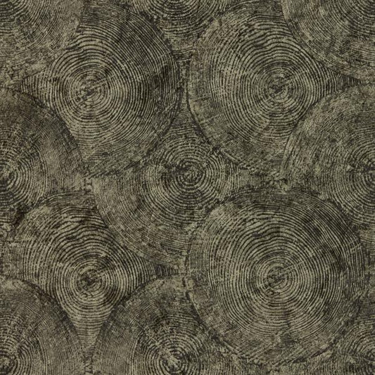 Purchase W0209/01 Silvan, Metallic Distressed Textures - Clarke And Clarke Wallpaper