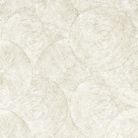 Purchase W0209/02 Silvan, Metallic Distressed Textures - Clarke And Clarke Wallpaper