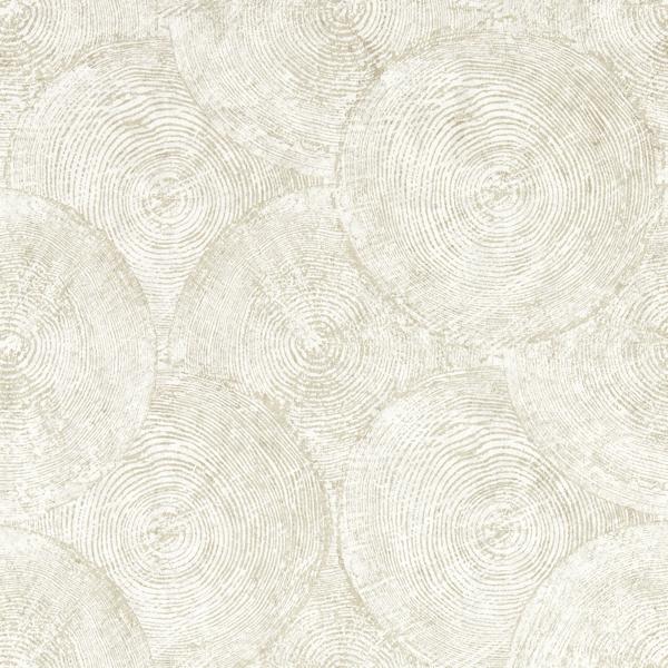 Sample - W0209/02 | Silvan, Metallic Distressed Textures - Clarke And Clarke Wallpaper