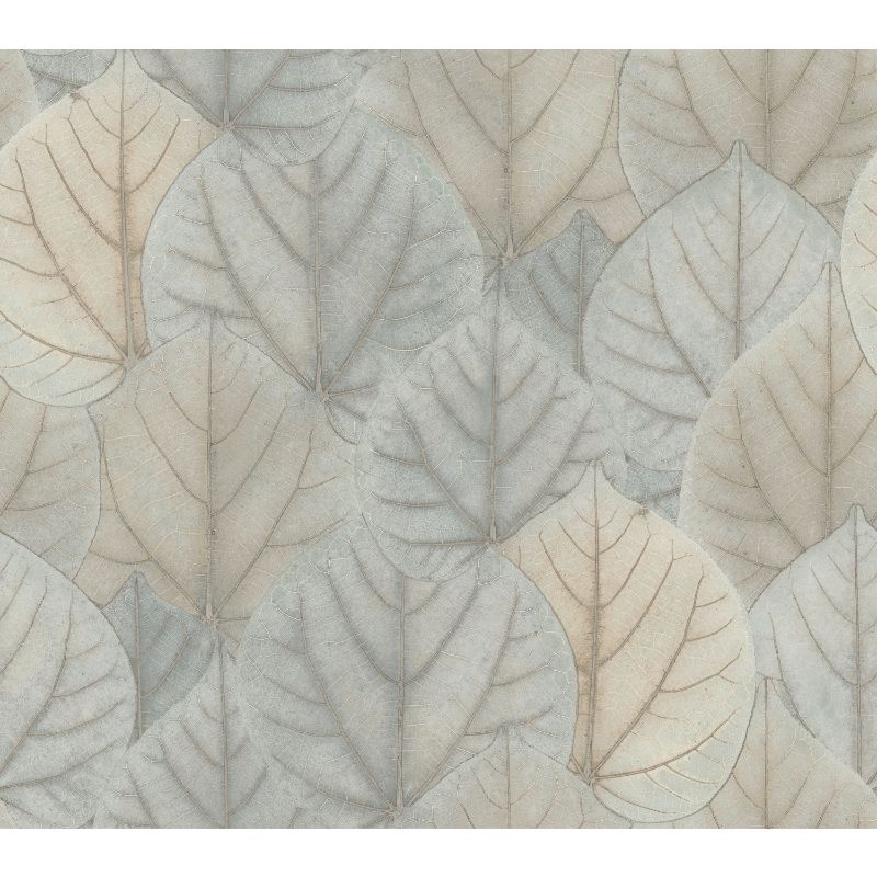 Purchase W3880.130.0 Kravet Design, Grey Leaf - Kravet Design Wallpaper