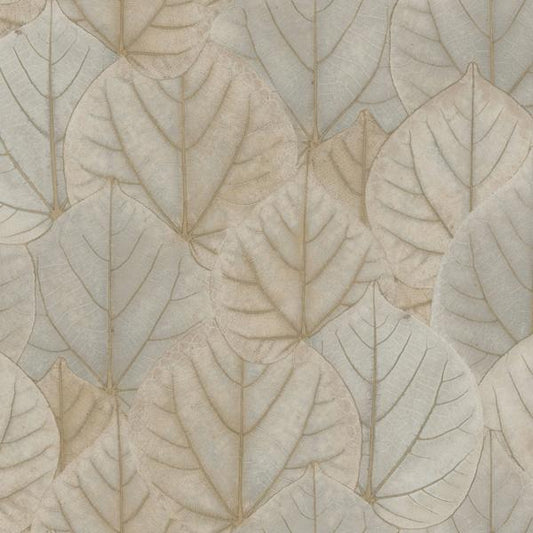 Purchase W3880.1611.0 Kravet Design, Brown Leaf - Kravet Design Wallpaper