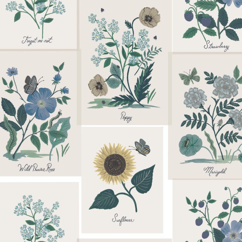Sample - W3947.350.0 | Kravet Design, Green Botanical - Kravet Design Wallpaper