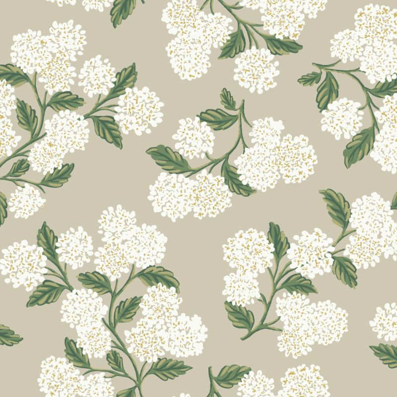 Purchase W3952.31.0 Kravet Design, Beige Floral - Kravet Design Wallpaper