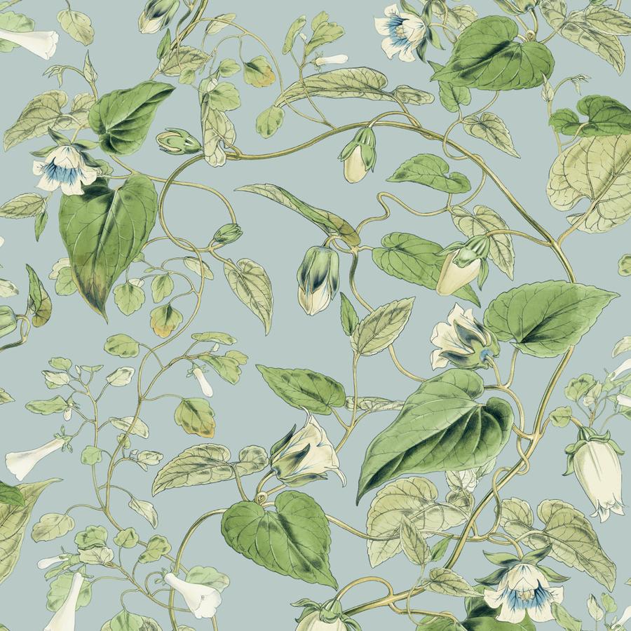 Sample - W4132-153 | Kravet Design, Green Botanical - Kravet Design Wallpaper - W4132.153.0