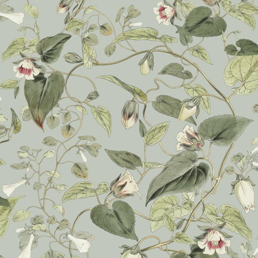 Purchase W4132-311 Kravet Design, Green Botanical - Kravet Design Wallpaper - W4132.311.0