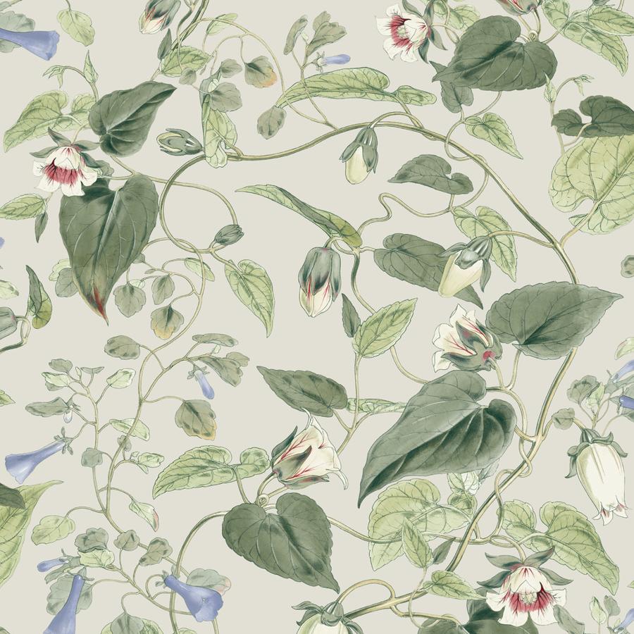 Purchase W4132-315 Kravet Design, Green Botanical - Kravet Design Wallpaper - W4132.315.0