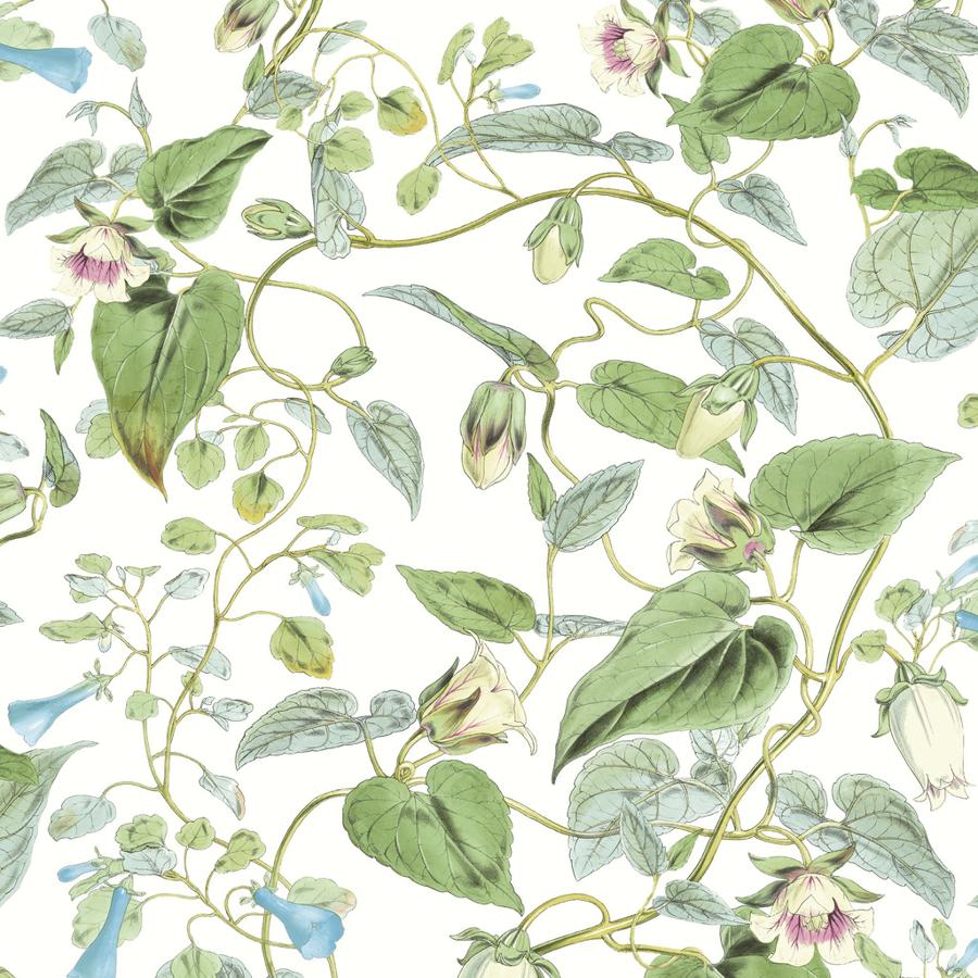 Sample - W4132-31 | Kravet Design, Green Botanical - Kravet Design Wallpaper - W4132.31.0